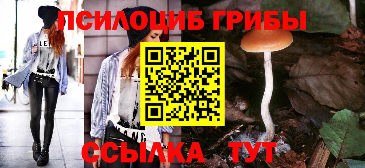 Ростов Великий  Галлюциногенные грибы Psilocybe  Вход с VPN 