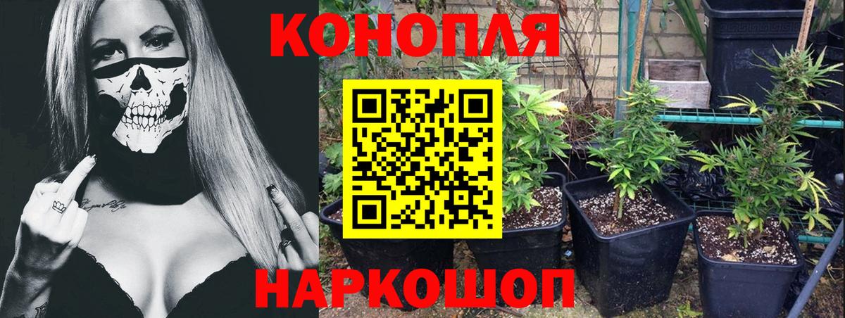 Канабис план  Канабис индика  Вход с VPN  Ростов Великий 